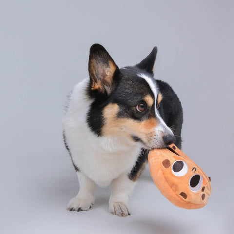 Chocolate Chip Cookie Interactive Snuffle Toy