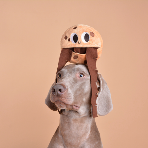 Chocolate Chip Cookie Interactive Snuffle Toy