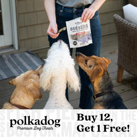 Polkadog