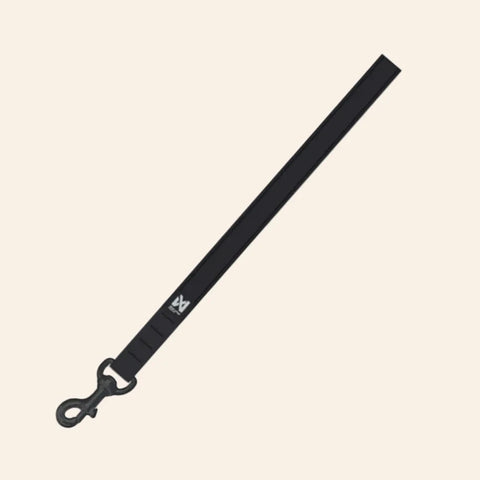 Security Strap WD