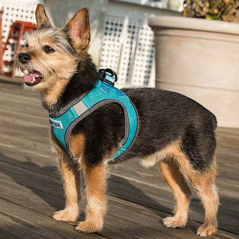 Liberty Bay Dog Harness: Sea Foam