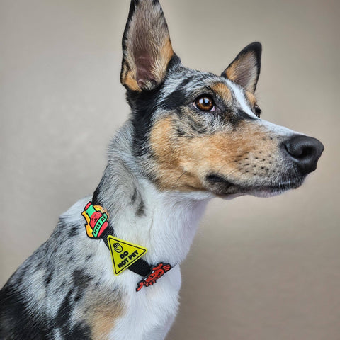 Do Not Pet Jiby Dog Charm