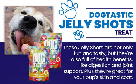 Dogtastic Jelly Shots - Cranberry Flavor