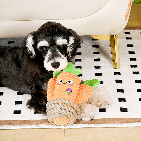 Happy Carrots Dog Toy