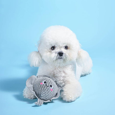 Stingray Floating 2-in-1 Dog Ball Toy