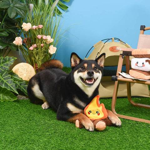 Campfire 2-in-1 Dog toy