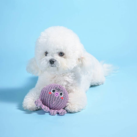 Octopus Floating 2-in-1 Dog Ball Toy