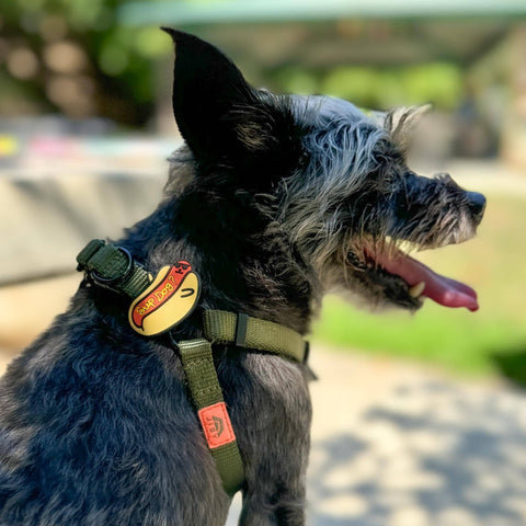 Sup Dog Jiby Dog Charm