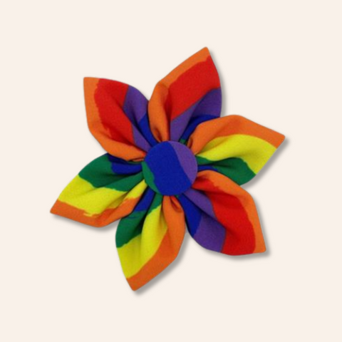 Pride Pinwheel