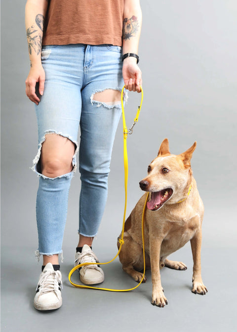 Custom Hands-Free Waterproof Dog Leash