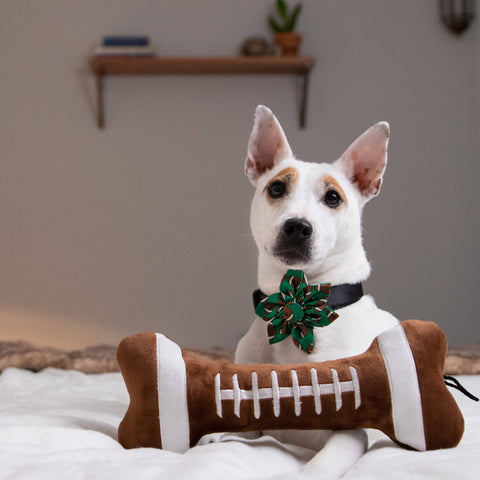 Football Bone For Dogs