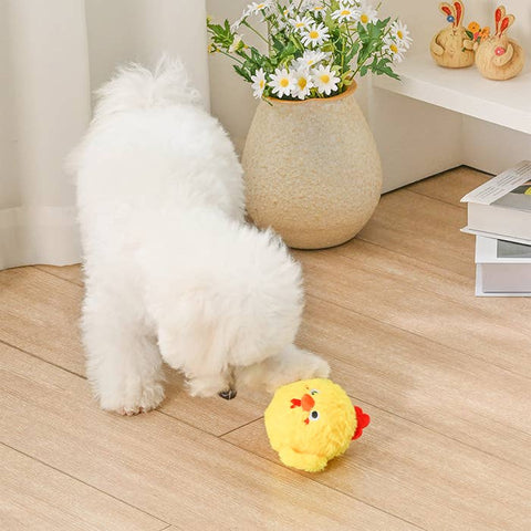Chickadee 2-in-1 Dog Ball Toy