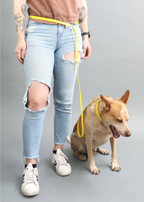 Custom Hands-Free Waterproof Dog Leash
