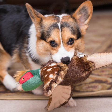 Ike Pheasant | Fluff & Tuff Dog Toy