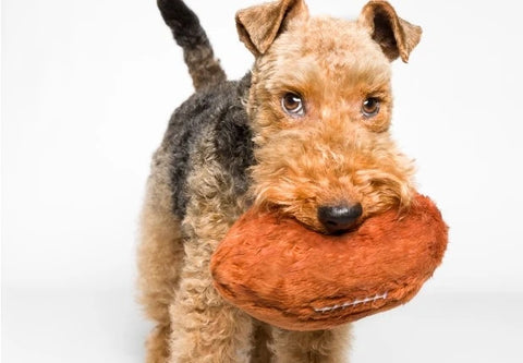 Football | Fluff & Tuff Dog Toy