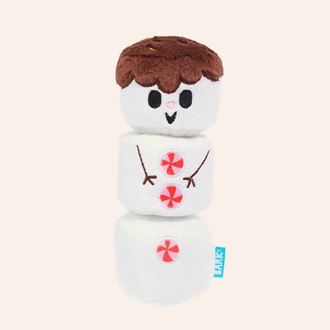 Frosty the S'moreman