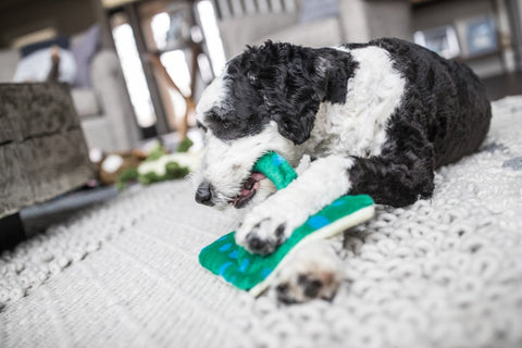 Gordon Stingrayl | Fluff & Tuff Dog Toy