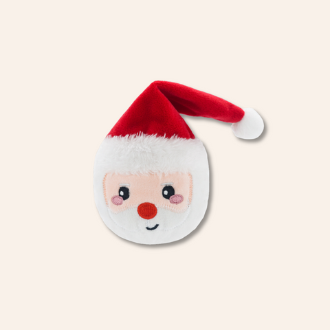 Santa Ball Toy