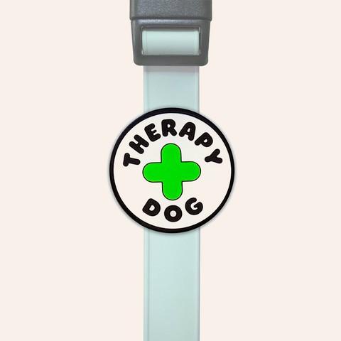 Therapy Dog Jiby Dog Charm