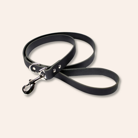 Black Leather Dog Leash