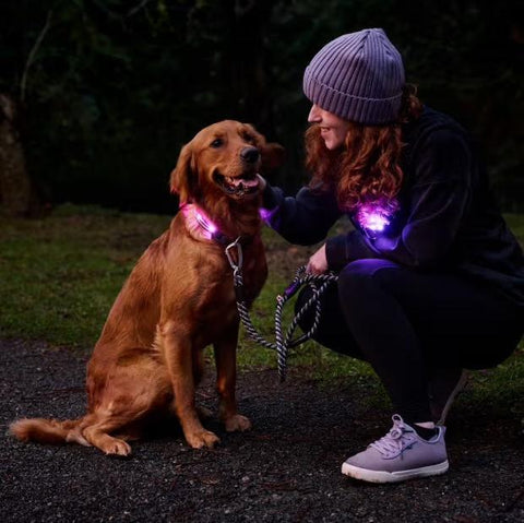 Nova LED Light | Dog Safety Light