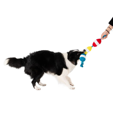 Territory Pet Floating Buoys Tug Toy