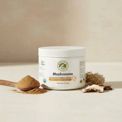 Mushroom Blend Organic Supplement