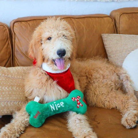 Naughty & Nice Bone Dog Toy