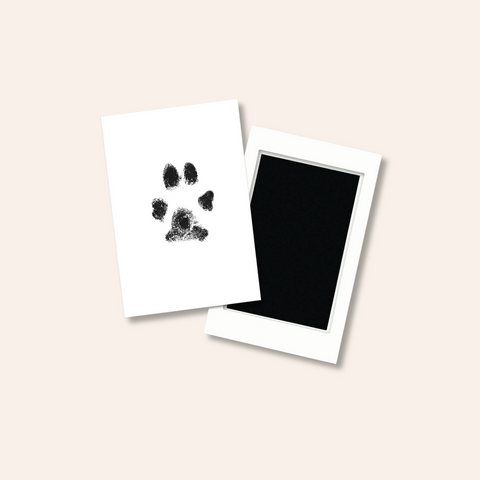 Pet Pawprint Clean-Touch Ink Pad