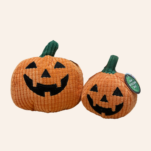 2-n-1 Pumpkin Dog Ball Toy