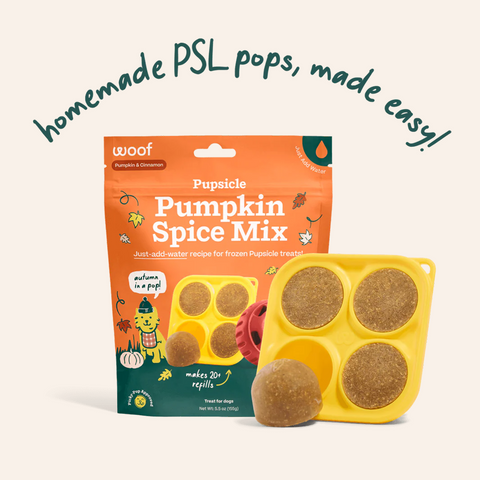 Pupsicle Treat Mix - Pumpkin Spice