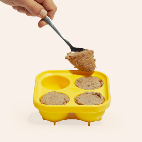 Pupsicle - DIY Treat Tray
