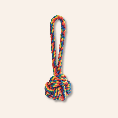 3" Rainbow Celtic Knot Rope Toy