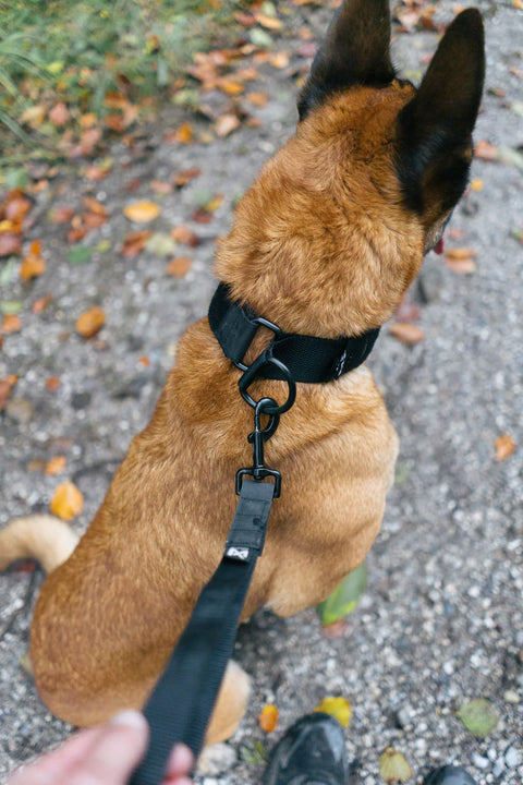 Security Strap WD
