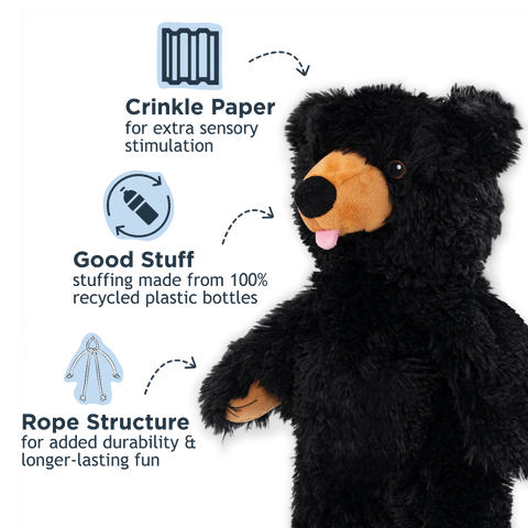 Black Bear Stuffless Dog Toy