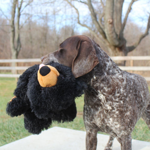 Black Bear Stuffless Dog Toy
