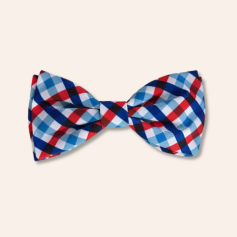 Summer Picnic Bow Tie