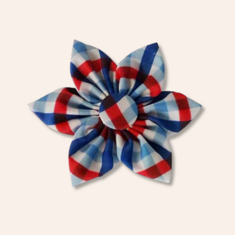 Summer Picnic Pinwheel