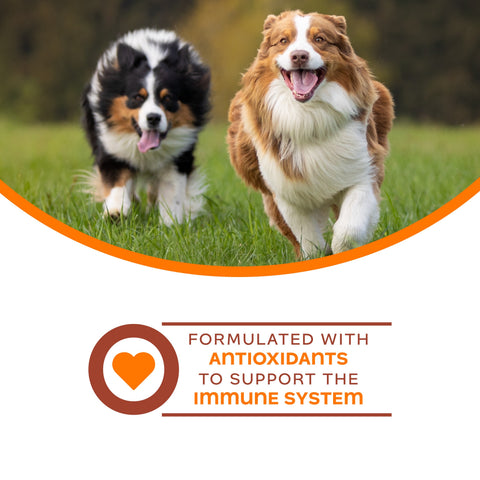 Fromm Nutritionals Immunity Dog Food Supplement Pate
