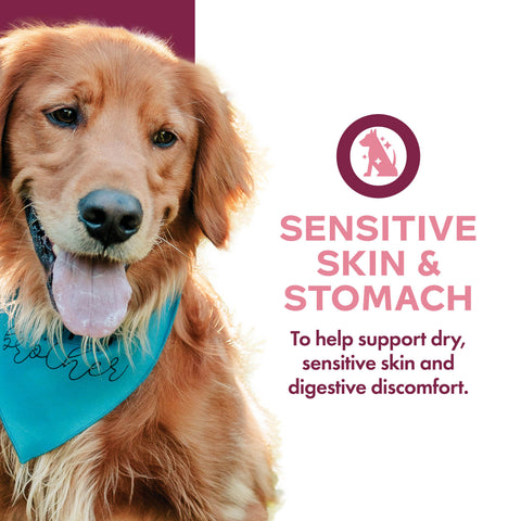 Fromm Nutritionals Sensitive Skin and Stomach Complete Dog Food