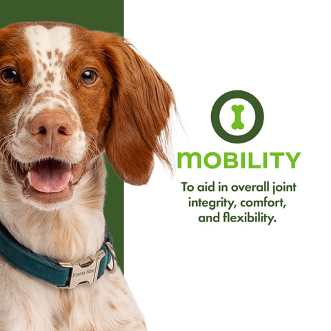 Fromm Nutritionals - Mobility Functional Dog Treats