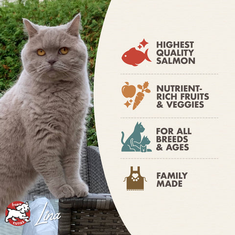 Fromm Four Star Salmon Tunachovy Cat Food