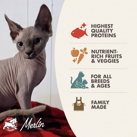 Fromm Four Star Trout & Whitefish Cat Food