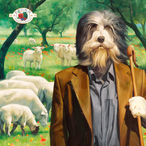 Fromm Four Star Lamb & Lentil Recipe