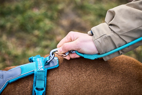 Trekking Rope Leash - Teal
