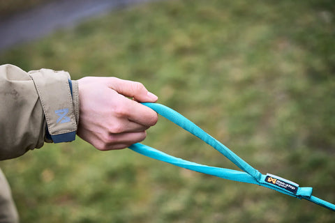 Trekking Rope Leash - Teal