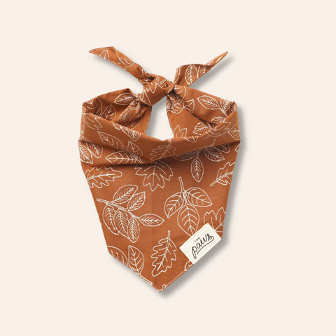 True North Dog Bandana