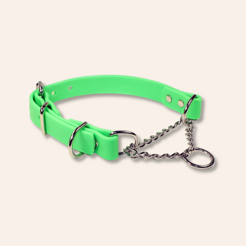 Green Martingale Chain Dog Collar Adjustable & Waterproof