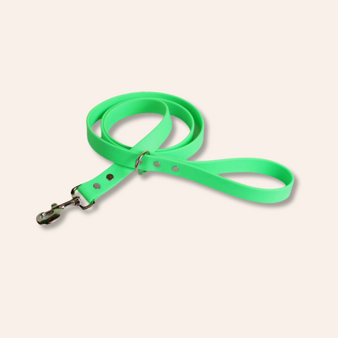 Green Waterproof Dog Leash