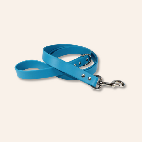 Blue Waterproof Dog Leash